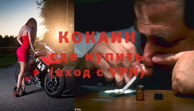 купить наркотик  Димитровград  KRAKEN маркетплейс  Cocaine Эквадор 